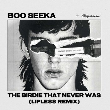 The Birdie That Never Was - BOO SEEKA, Lipless