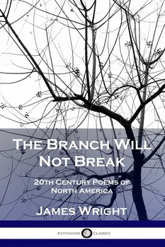 The Branch Will Not Break - Wright James