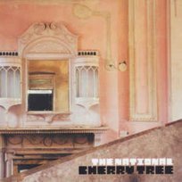 The Cherry Tree (Remastered) The National