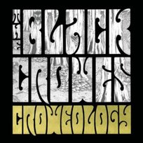 The Croweology The Black Crowes