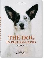The Dog in Photography 1839-Today - Merritt Raymond