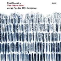 The Dream Thief Shai Maestro Trio