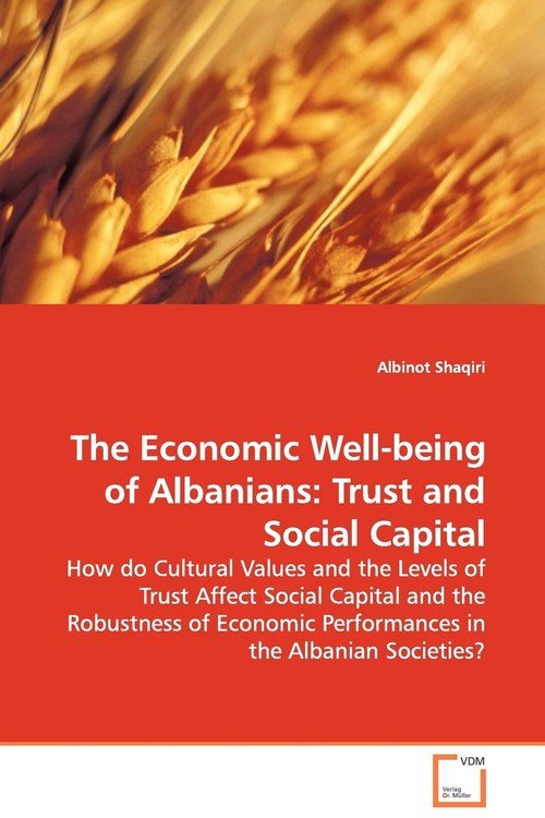 The Economic Well-being Of Albanians - Shaqiri Albinot | Książka W Empik