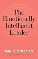The Emotionally Intelligent Leader Goleman Daniel