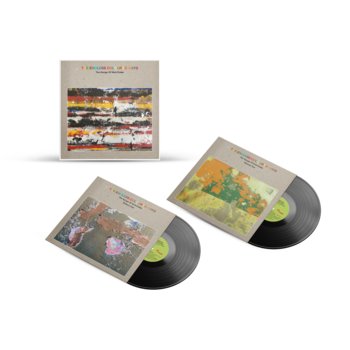 The Endless Coloured Ways: The Songs Of Nick Drake, płyta winylowa - Various Artists