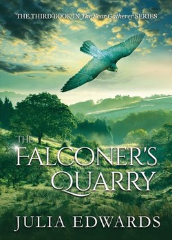 The Falconer's Quarry - Julia Edwards