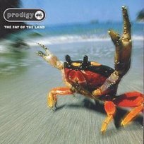 The Fat Of The Land: Amazon.pl: Płyty CD i winylowe