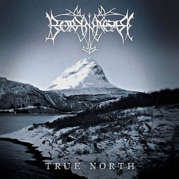 The Fire that Burns - Borknagar