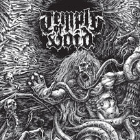 The First Ten Years Temple of Void
