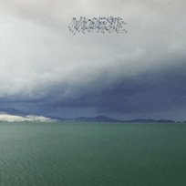 The Fruit That Ate Itself Modest Mouse