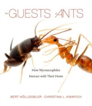 The Guests of Ants: How Myrmecophiles Interact with Their Hosts - Bert Hoelldobler