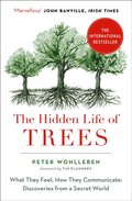 The Hidden Life of Trees - Wohlleben Peter