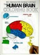 The Human Brain Coloring Book Diamond Books