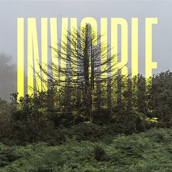 The Invisible EP - Ólafur Arnalds