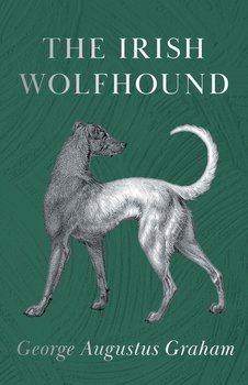 The Irish Wolfhound - George Augustus Graham