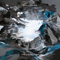 The Liberation Disillusion