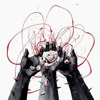 The Lost Petals d4vd