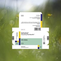 The Mainline Song / The Lockdown Song Spiritualized