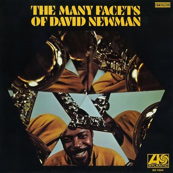 The Many Facets Of David Newman - David Newman