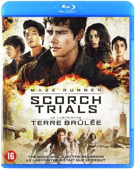 The Maze Runner: The Scorch Trials - Ball Wes