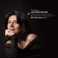 The Muse Gvetadze Nino