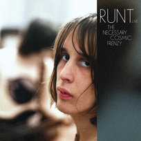 The Necessary Cosmic Frenzy (with Todd Rundgren) Runt