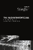 The Neganthropocene Stiegler Bernard