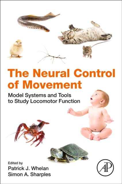 the-neural-control-of-movement-model-systems-and-tools-to-study