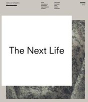 The Next Life, płyta winylowa Girls Names