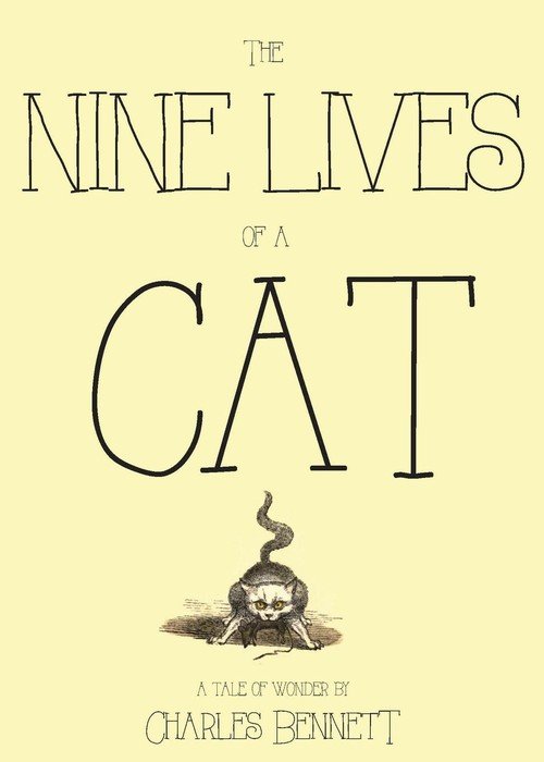 The Nine Lives of a Cat Charles Książka w Empik