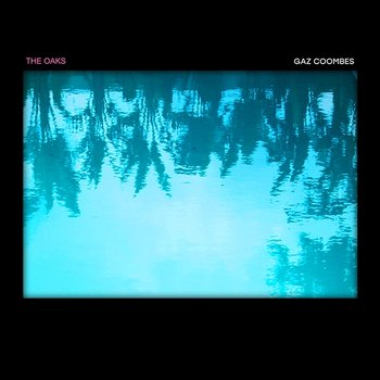 The Oaks - Gaz Coombes