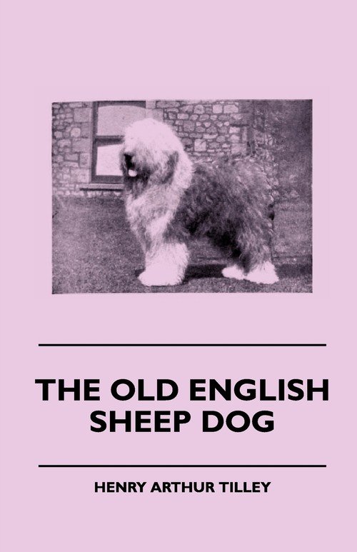 The Old English Sheep Dog Tilley Henry Arthur Książka w Sklepie