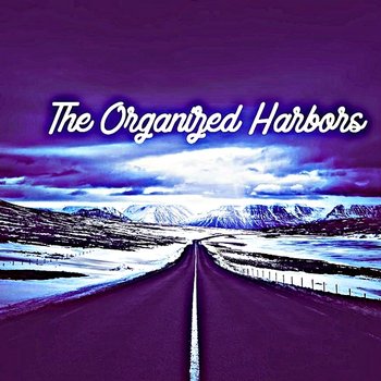 The Organized Harbors - Nikki Shaneka