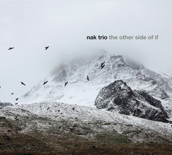 The Other Side Of It - NAK Trio