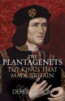 The Plantagenets Wilson Derek