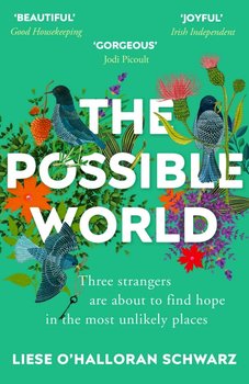 The Possible World - O'Halloran Schwarz