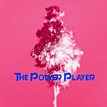 The Power Player - William Haywood
