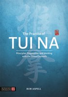 The Practice of Tui Na: Principles, Diagnostics and Working with the Sinew Channels - Aspell Robert