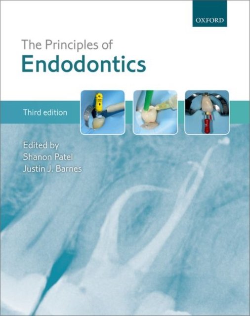 The Principles Of Endodontics - Opracowanie Zbiorowe | Książka W Empik