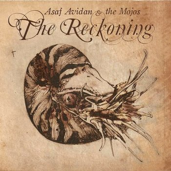 The Reckoning, płyta winylowa - Avidan Asaf