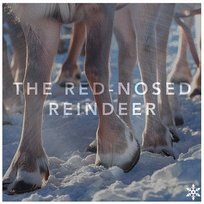 The Red-Nosed Reindeer Agamma Energy