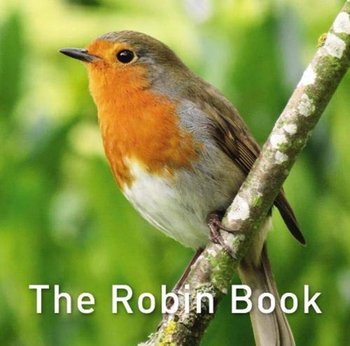The Robin Book - Jane Russ