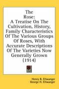 The Rose: A Treatise on the Cultivation, History, Family Characteristics of the Various Groups of Roses, with Accurate Descripti - Ellwanger Henry B.
