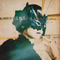 The Screen Behind The Mirror Enigma
