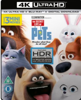 The Secret Life of Pets (brak polskiej wersji językowej) - Cheney Yarrow, Renaud Chris