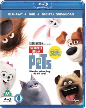 The Secret Life of Pets - Cheney Yarrow, Renaud Chris