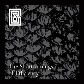 The Shortcomings of Efficiency - Gösta Berlings Saga