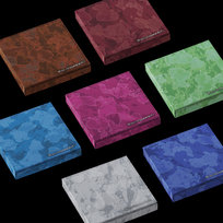 The Sin : Vanish (fugitives Version)