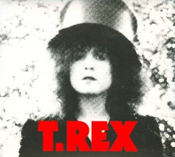 The Slider (Remastered), płyta winylowa - T. Rex