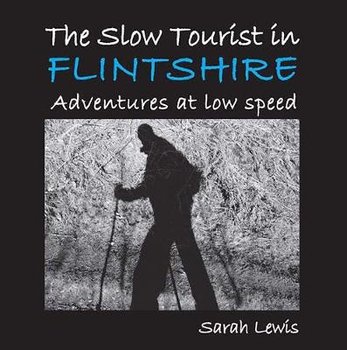 The Slow Tourist in Flintshir: Adventures at low speed - Lewis Sarah